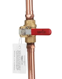 Watercop WCMVLF Brass Builder Valve 1-1/4"