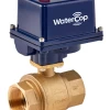 WaterCop Industrial Activator With 2 Inch Brass Water Valve