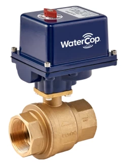 WaterCop Industrial Activator With 1 1/2 Inch Brass Water Valve